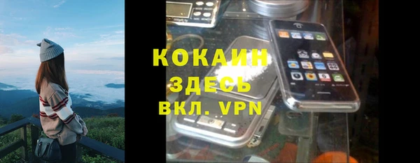 прущие грибы Абинск