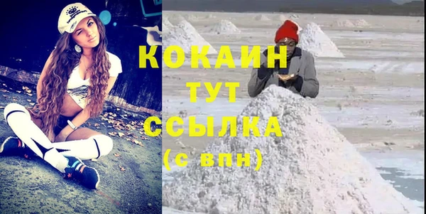 прущие грибы Абинск