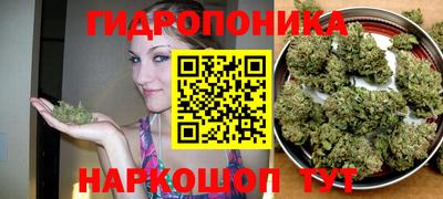 стафф Заводоуковск