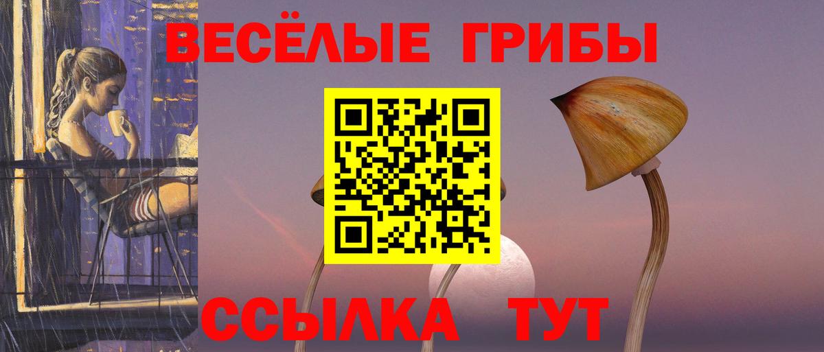 Галлюциногенные грибы Psilocybine cubensis  Псилоцибиновые грибы мухоморы  Химки  Вход с VPN 